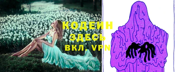 спиды Семёнов