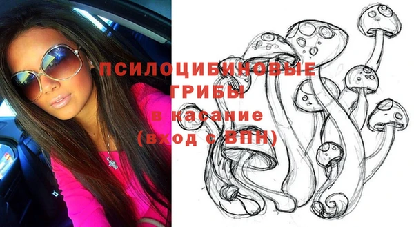 спиды Семёнов
