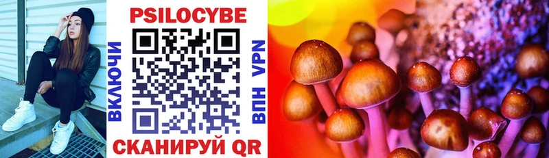 Купить  Кандалакша  Псилоцибиновые грибы MAGIC MUSHROOMS 